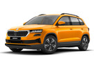 Коврики на Skoda Karoq 2017 - 2025 в Белгороде