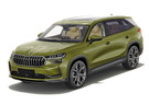 Коврики на Skoda Kodiaq II 2023 - 2025 в Белгороде