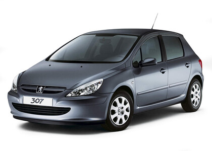 EVA коврики на Peugeot 307 2001 - 2008 в Белгороде