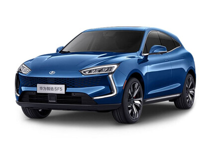 Коврики на Seres SF5 2019 - 2022 в Белгороде Коврики на Seres SF5 2019 - 2022 в Белгороде