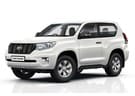 EVA коврики на Toyota Land Cruiser Prado 150 2009 - 2023 в Белгороде