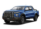 Коврики на JAC T9 2021 - 2025 в Белгороде