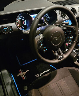 EVA коврики на Ford Mustang VI 2013 - 2023 в Белгороде EVA коврики на Ford Mustang VI 2013 - 2023 в Белгороде