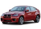 Коврики на BMW X6 (E71/E72) 2008 - 2014 в Белгороде