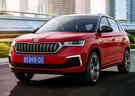 Ворсовые коврики на Skoda Kamiq 2018 - 2025 в Белгороде