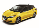 Ворсовые коврики на Nissan Leaf (ZE1) 2017 - 2025 в Белгороде