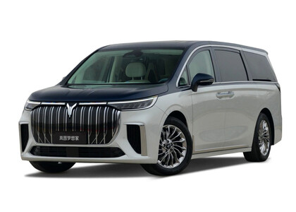 EVA коврики на Voyah Dream 2021&nbsp;-&nbsp;2026 в Белгороде