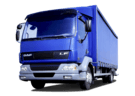 Ворсовые коврики на DAF LF 2001 - 2025 в Белгороде