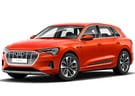 Ворсовые коврики на Audi e-tron 2018 - 2025 в Белгороде